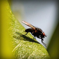 /album/fedebianconera/photolia-a04-jpg/