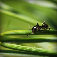 /album/fedebianconera/photolia-a05-jpg/