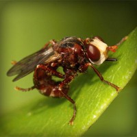 /album/fedebianconera/photolia-a06-jpg/
