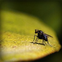 /album/fedebianconera/photolia-a07-jpg/
